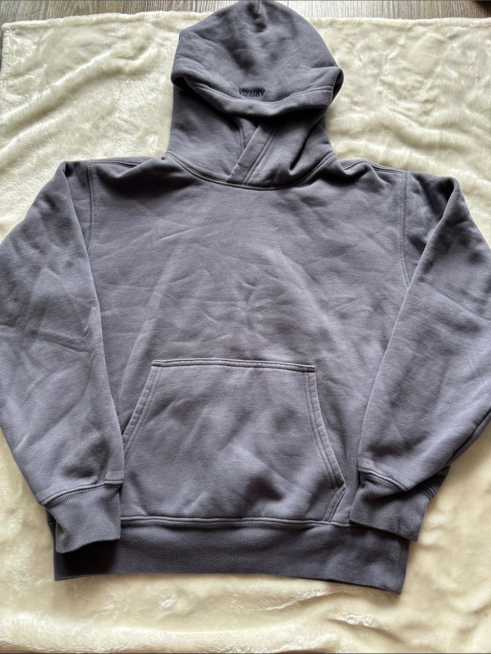 Aritzia Women's Hooded Sweatshirt in Gray